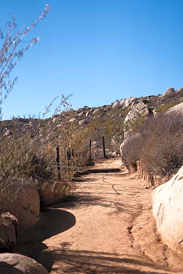 Encuentro Guadalupe