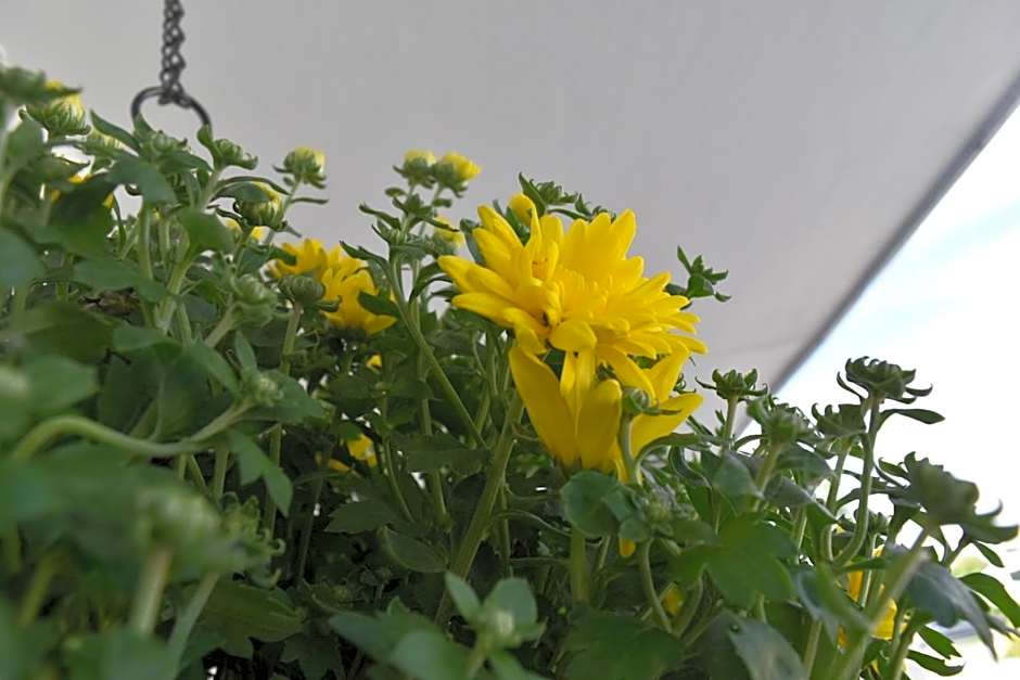 Motel de L'Anse et Camping Rimouski