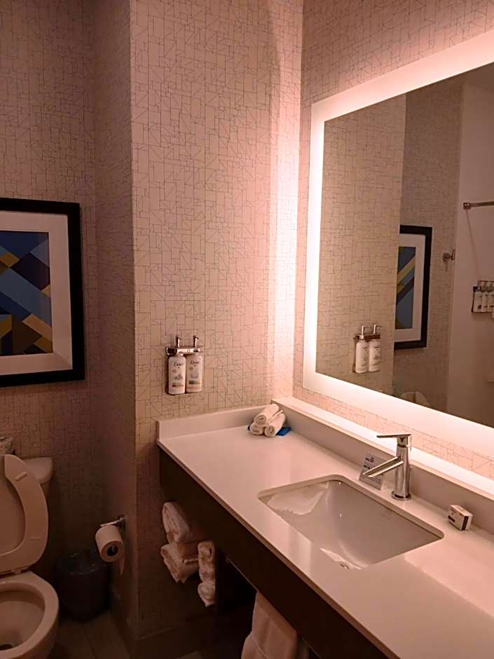 Holiday Inn Express Hotel & Suites Anniston/Oxford By IHG
