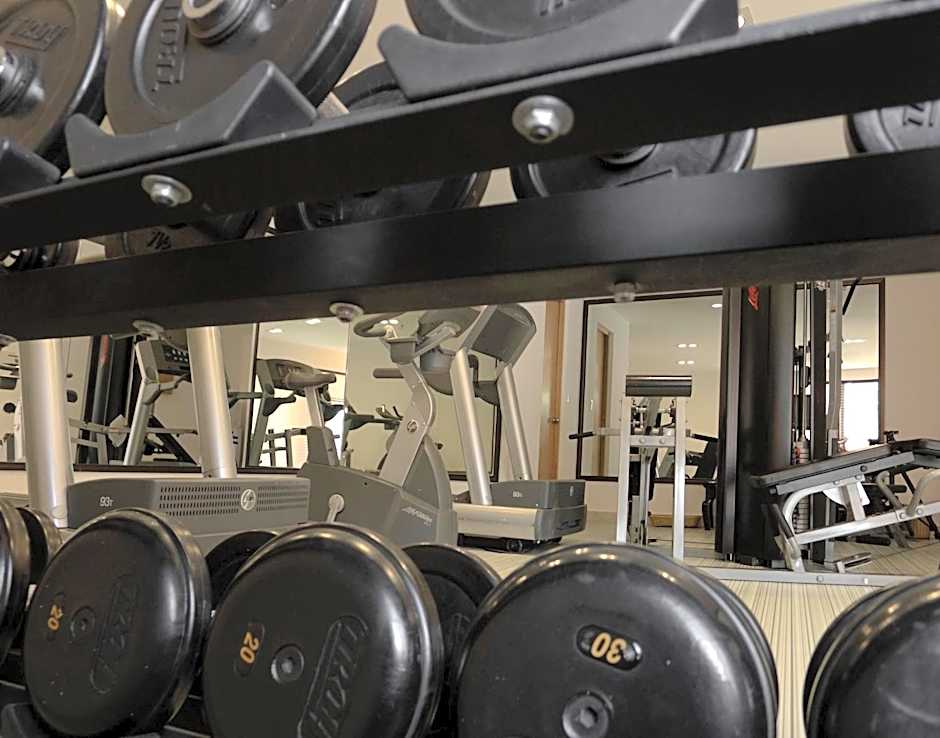 Fiesta Inn Toluca Centro