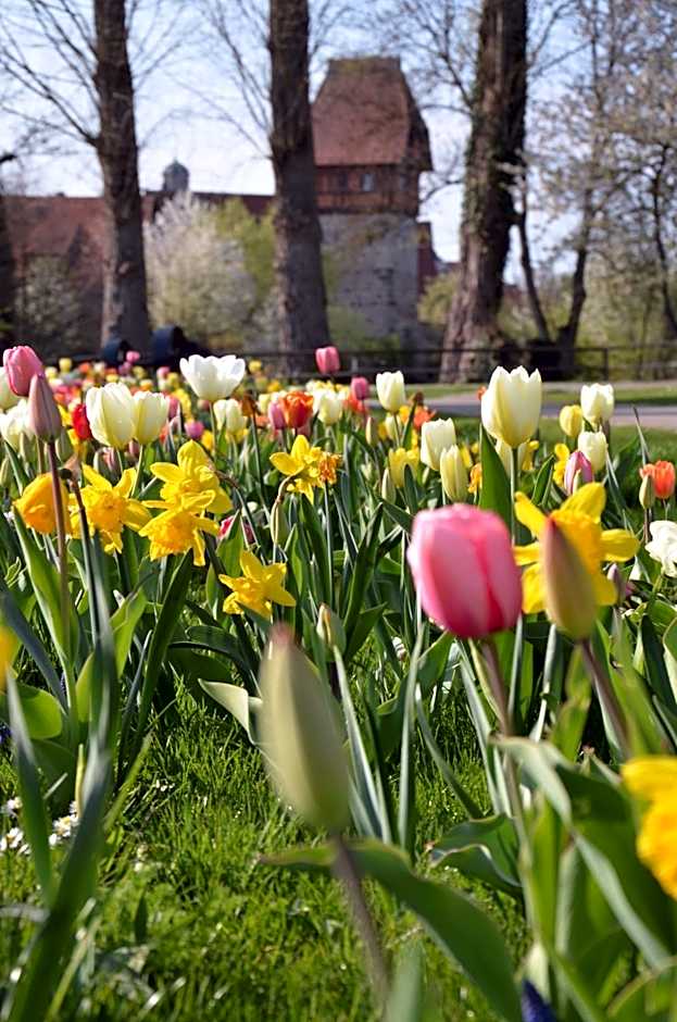 Hotel-Restaurant Goldenes Lamm