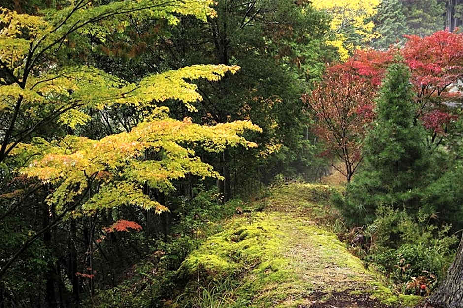 Yadori Onsen Iyashinoyu