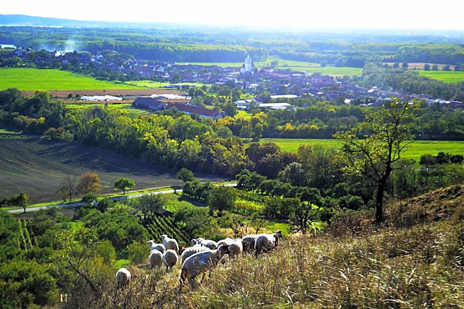 Apartmány s klimatizací - Penzion U Kudláčků Pouzdřany
