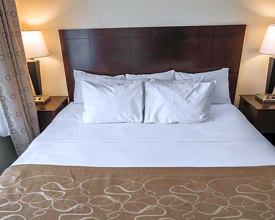 Comfort Suites University Area