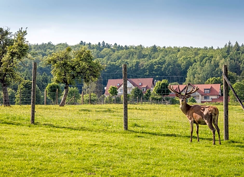 Landhotel Heimathenhof