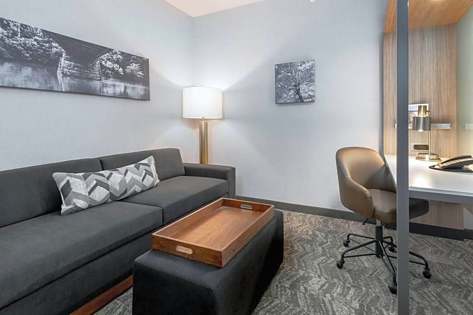 SpringHill Suites by Marriott Indianapolis Westfield