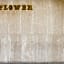 The Mayflower Hotel