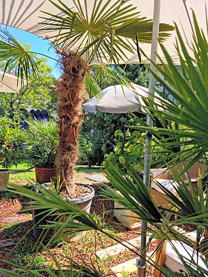 Victoria Royal Garden