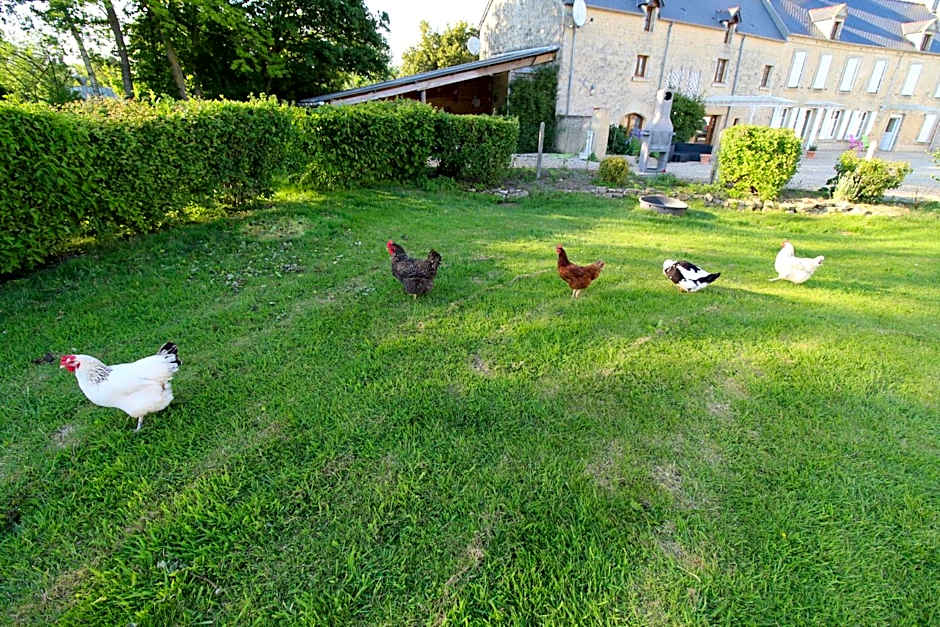 La ferme aux chats