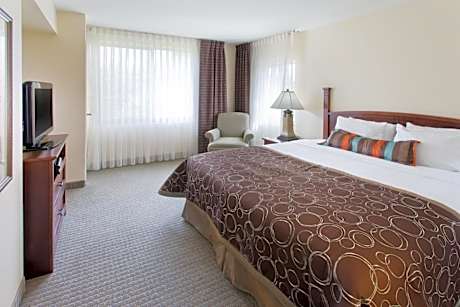 One-Bedroom King Suite with Sofa Bed