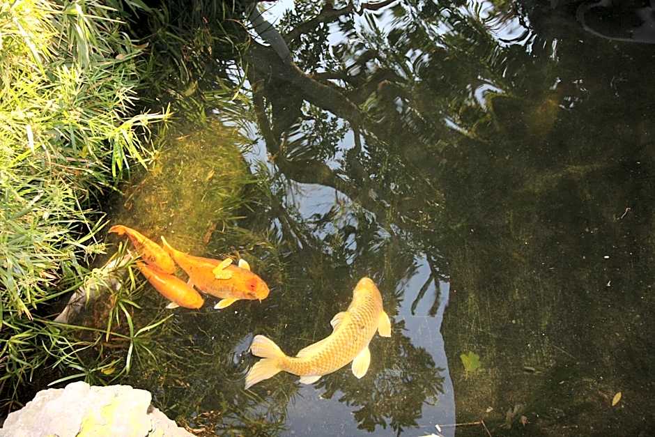 Acra-Retreat Mountain View Lodge