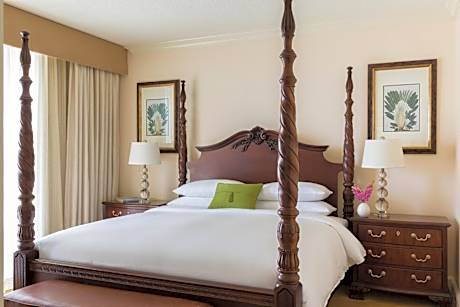 King Suite with Sofa Bed