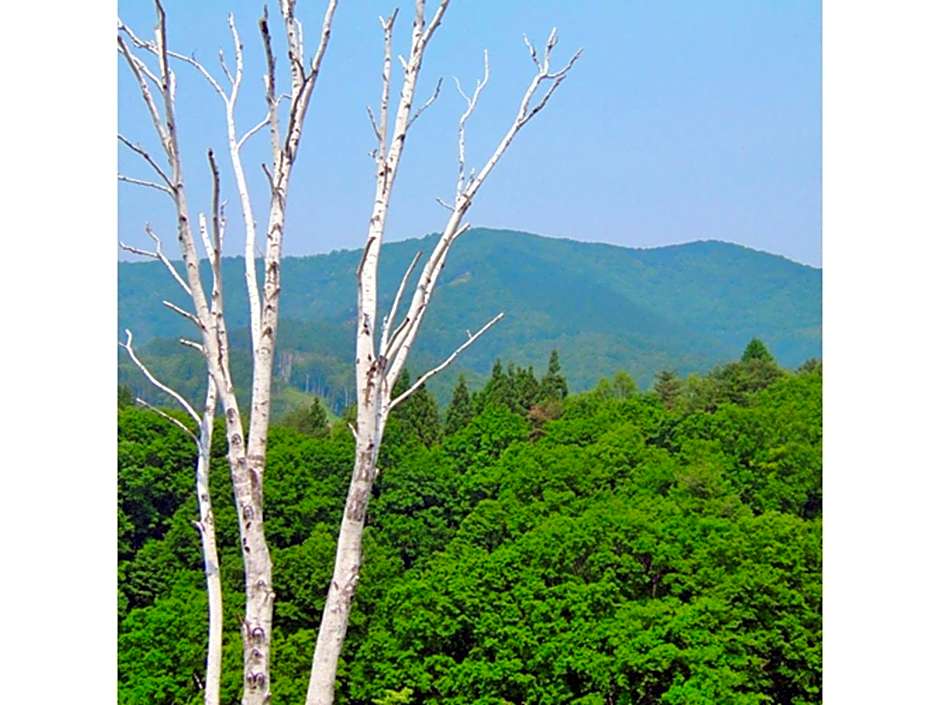 Hotel Silk in Madarao - Vacation STAY 79648v