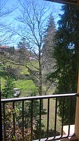 Double or Twin Room with Garden View