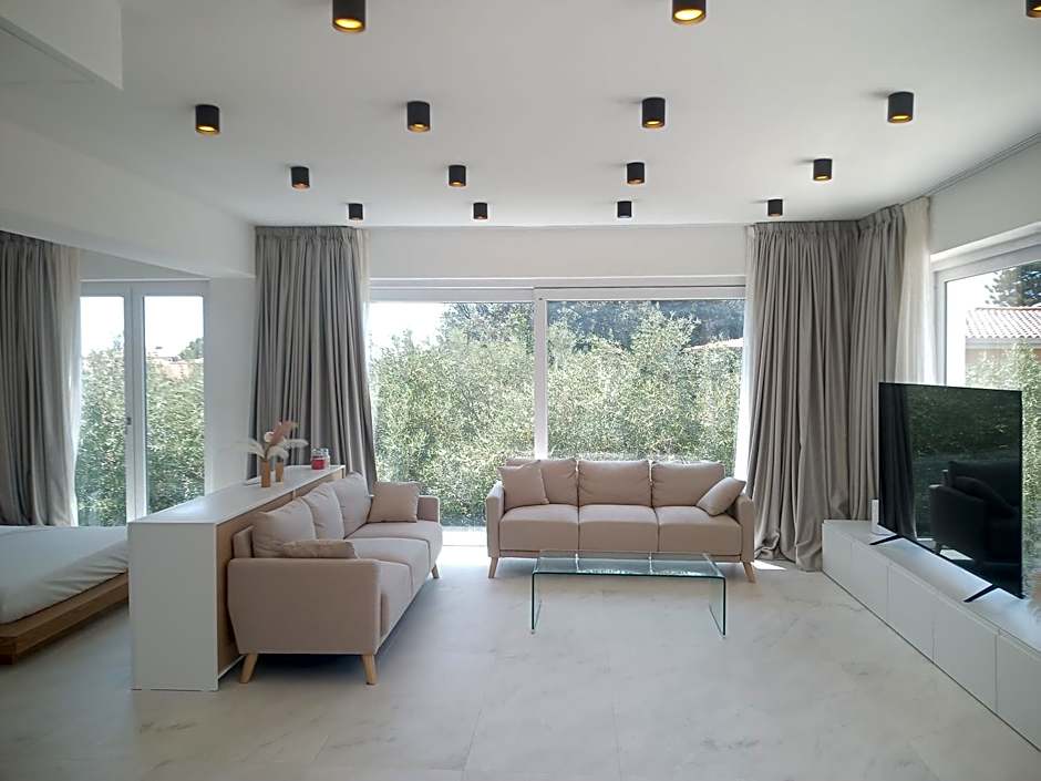 Smart Luxury Suites & Apartments