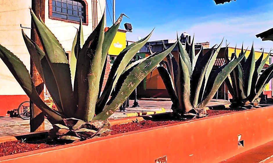 Biohotel Boutique Metepec