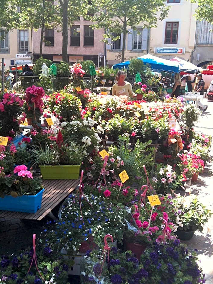 Carcassonne Town House, Rue Barbès