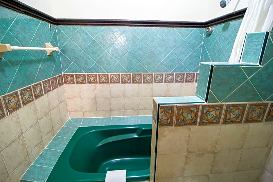 Hotel Suites Flamboyanes
