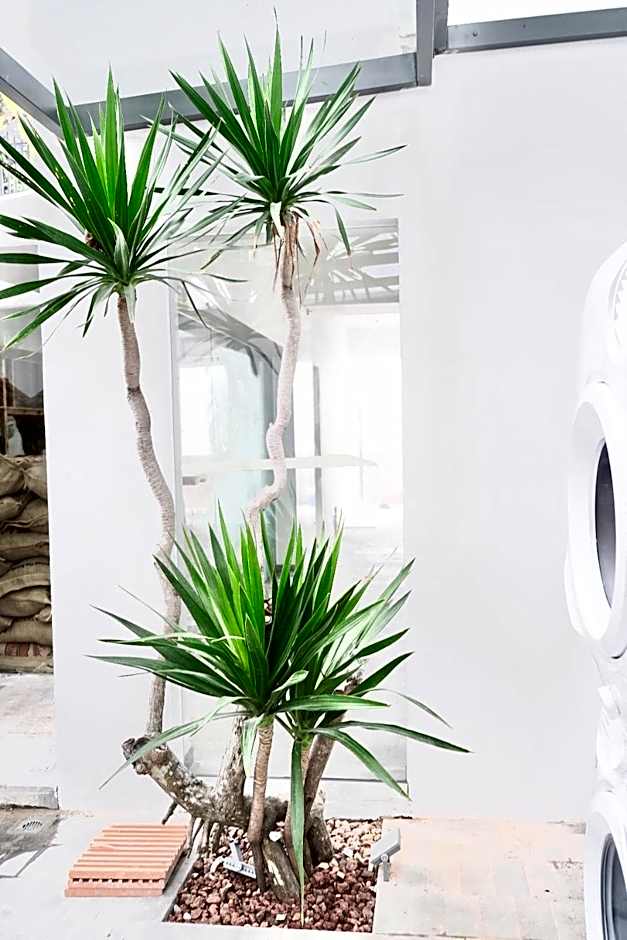 M Village Tu Xuong – Ho Chi Minh City, 