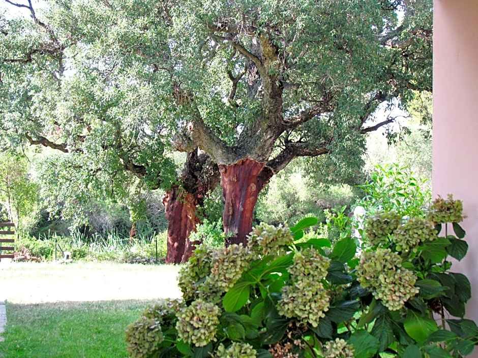 Li Suari Club Village