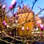 Auberge du Manoir d'Archelles