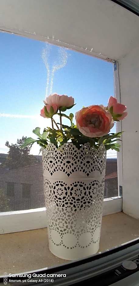 Ble Mavi - Studio for 2