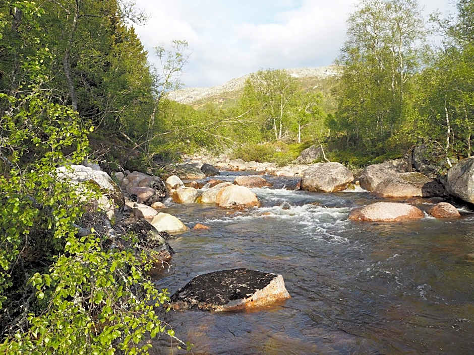 Sirdal Høyfjellshotell