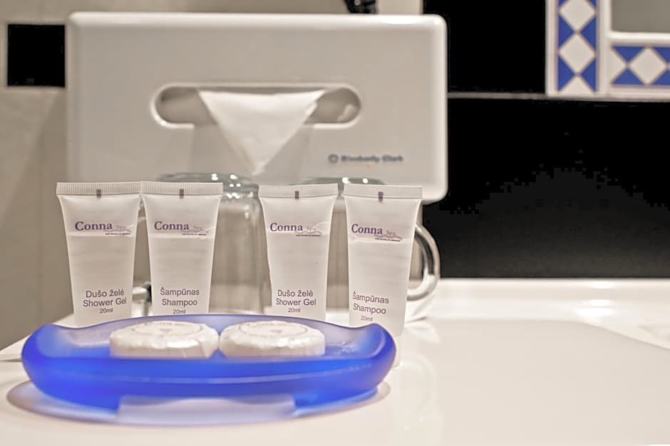 BEST BALTIC Hotel Druskininkai Central