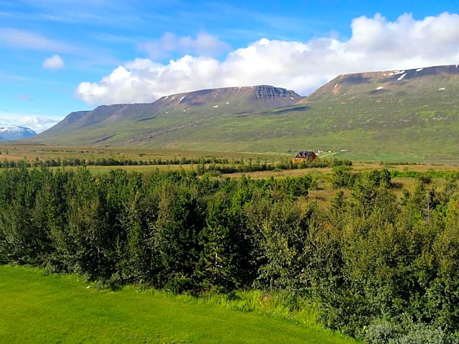 Apt. Hotel Hjalteyri