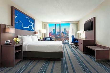 Room, 1 King Bed, City View