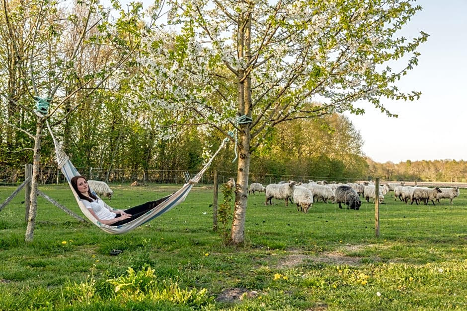 Pipowagen Lidewei Groningen Westerwolde unieke ligging met eigen tuin en vrij uitzicht over veld naar natuurgebied