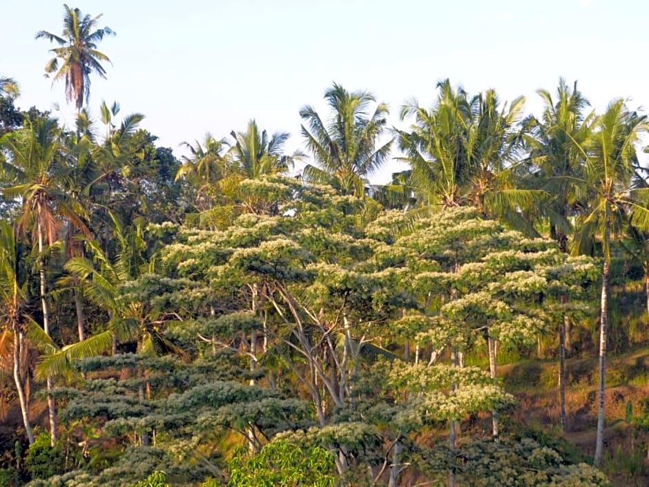 Bersila La Maison Du Bonheur