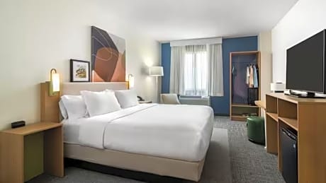 1 King Bed With Sofabed