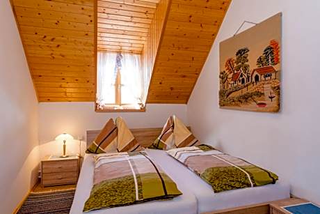 Double Room with Shared Bathroom