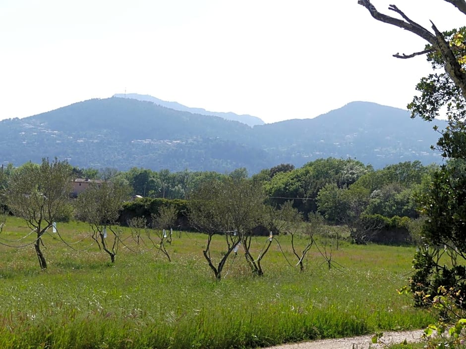 Le charme d'une vieille bastide provençale