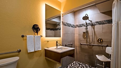 accessible - 1 queen, mobility accessible, roll in shower, microwave and refrigerator, non-smoking, full breakfast
