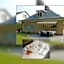 B&B Bloemenweelde