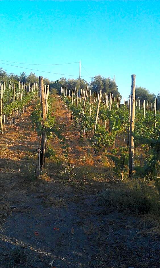 Azienda Agricola Fuocomuorto – Ercolano , CO