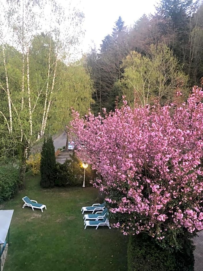 Relax Apartments Tannenhof