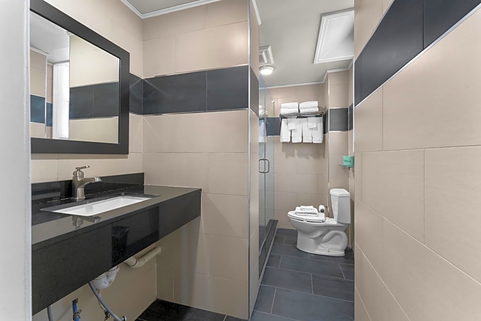 Quality Inn Center City