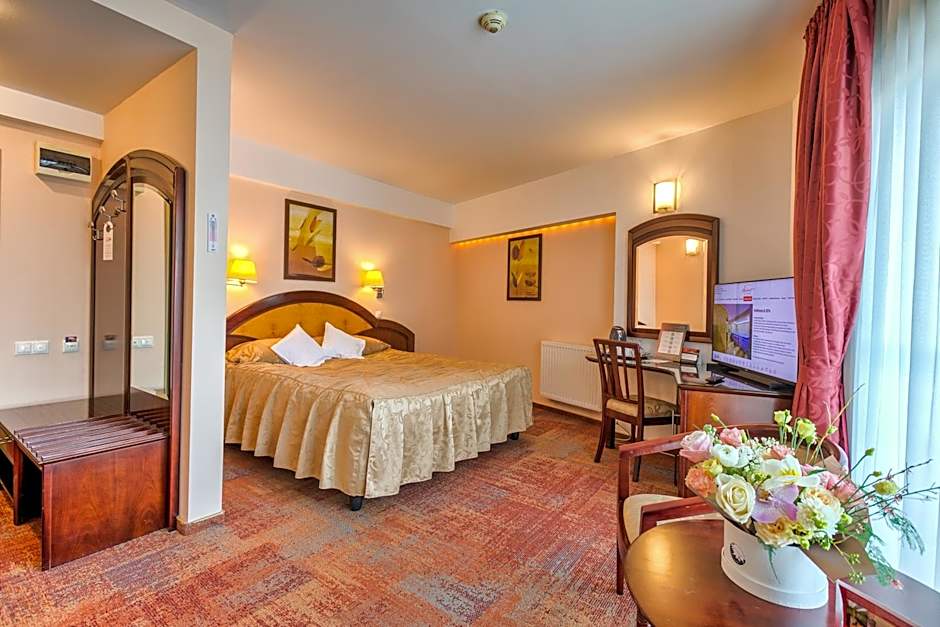 Hotel Ambient