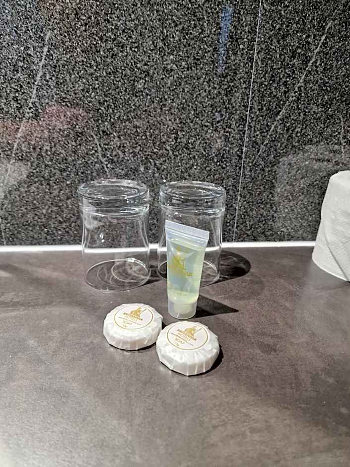 Britannia Hotel Birmingham New Street Station Birmingham