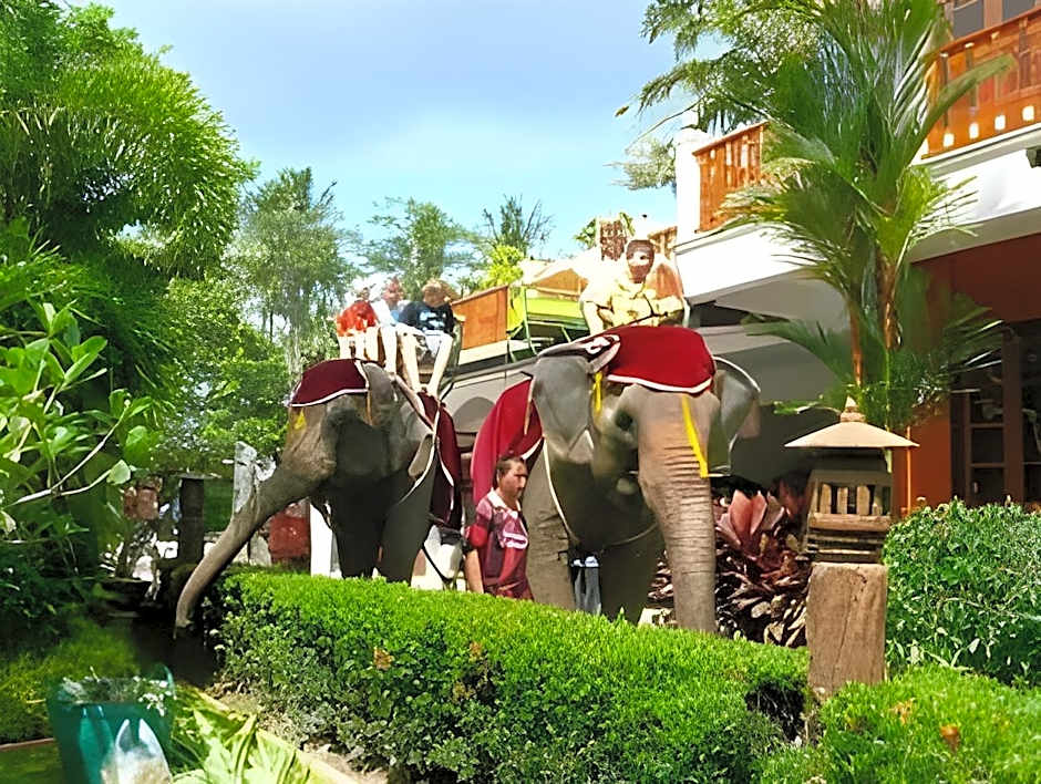 Jungle Village Bungalows