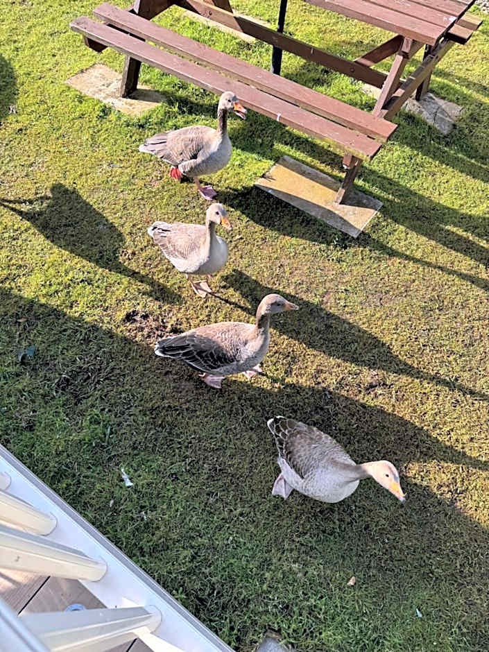 Hot tub retreat at Tattershall Lakes