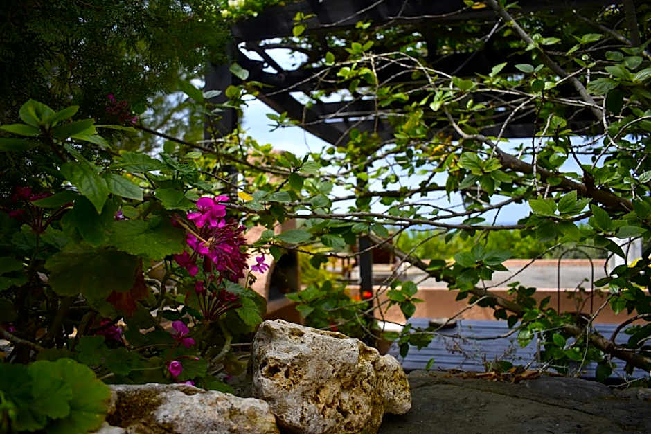 Anemos Holiday Houses - Unterkunft in Südkreta