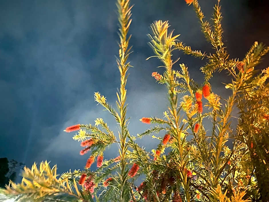 Apart Hotel Angra dos Reis II