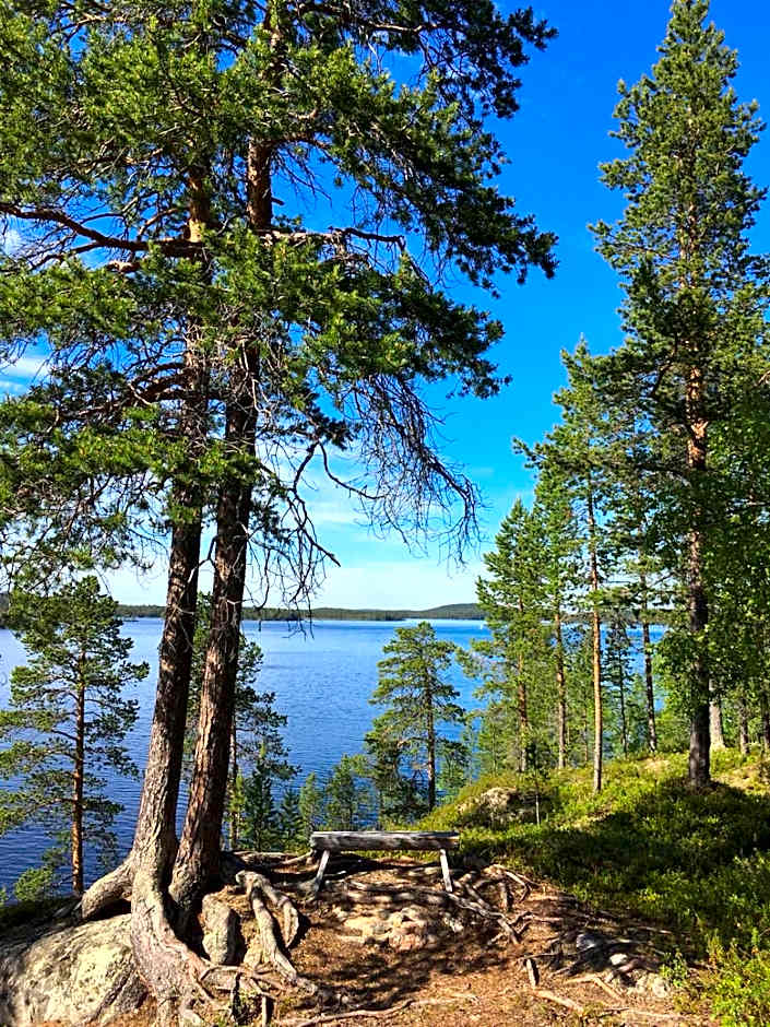 Wilderness Hotel Nangu & Igloos