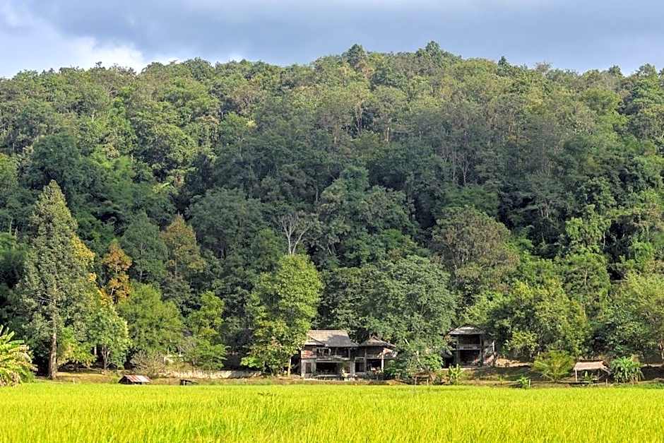 467 Chiang Dao