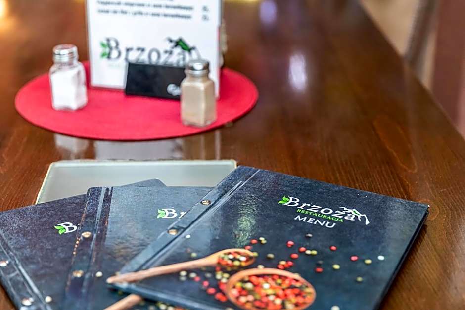 Brzoza w centrum Zakopanego