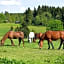 Landhotel Altes Zollhaus